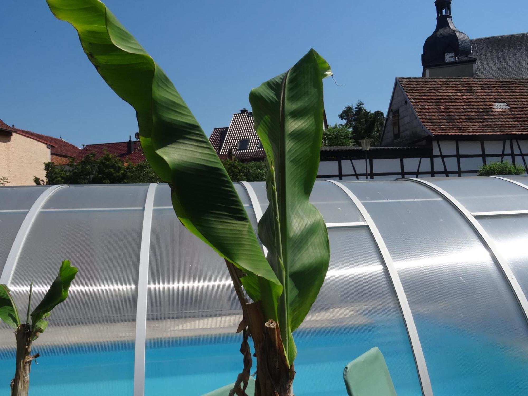 Pension Und Gaestehaus Paffrath Grossbrembach Екстериор снимка